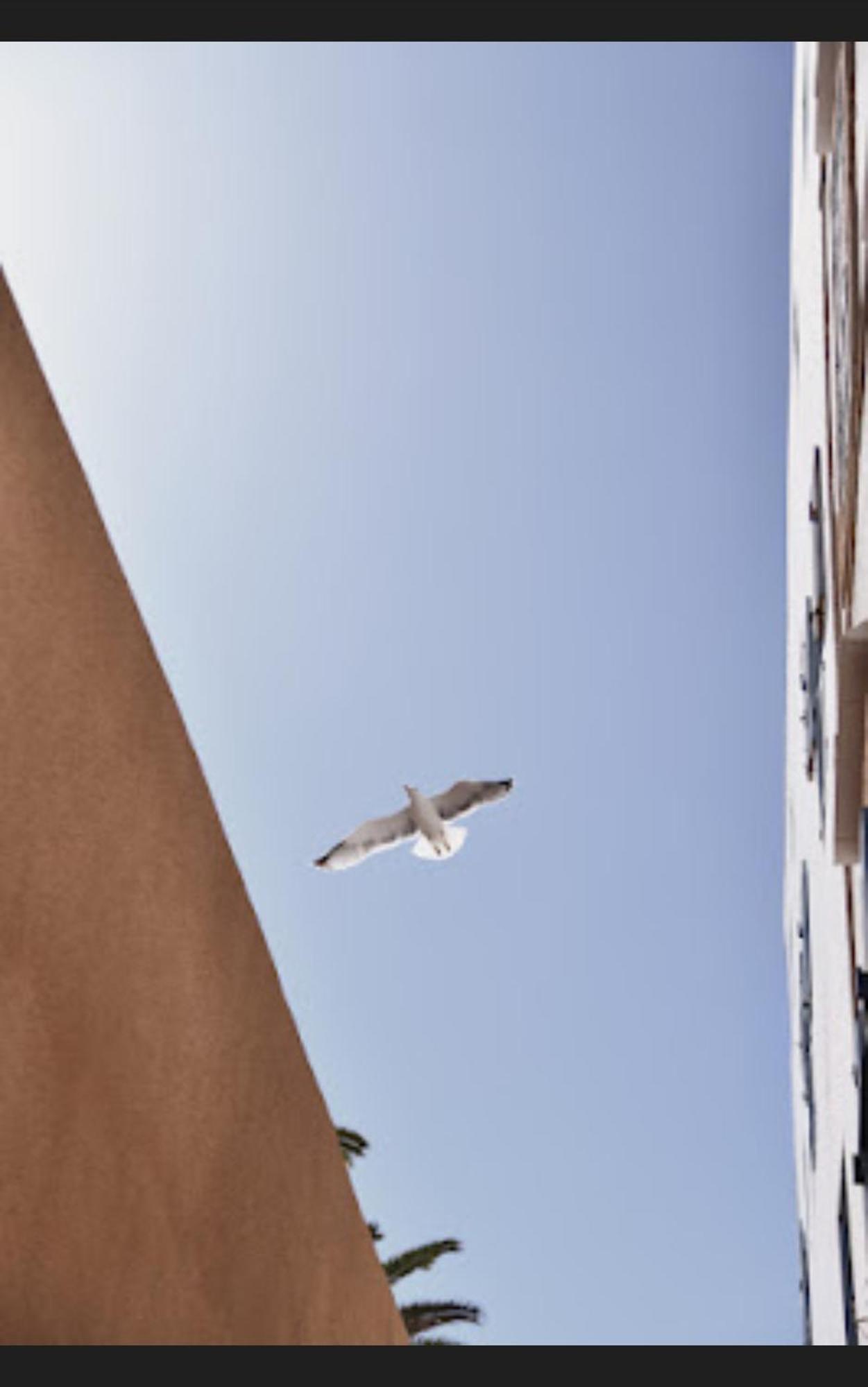 Loft Incroyable En Medina Apartment เอสเซาอิรา ภายนอก รูปภาพ